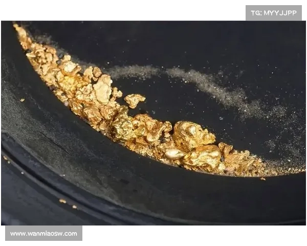 全球金矿石资源分布的五大关键地区及其经济影响分析 全球金矿石资源分布的五大关键地区及其经济影响分析